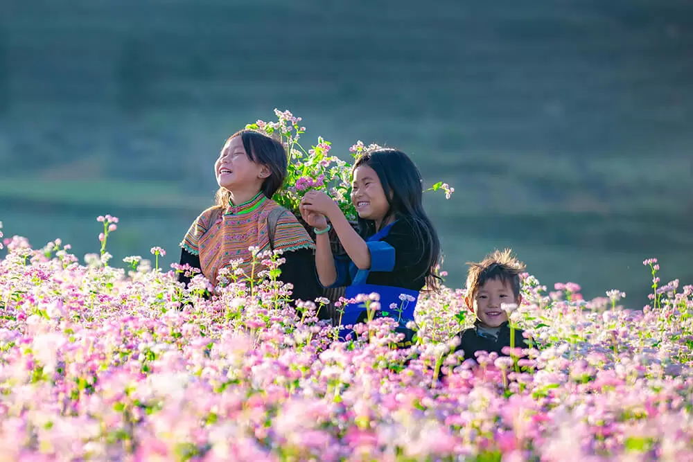 DU LICH LAC HONG<br>CUNG CẤP TOUR DU LỊCH