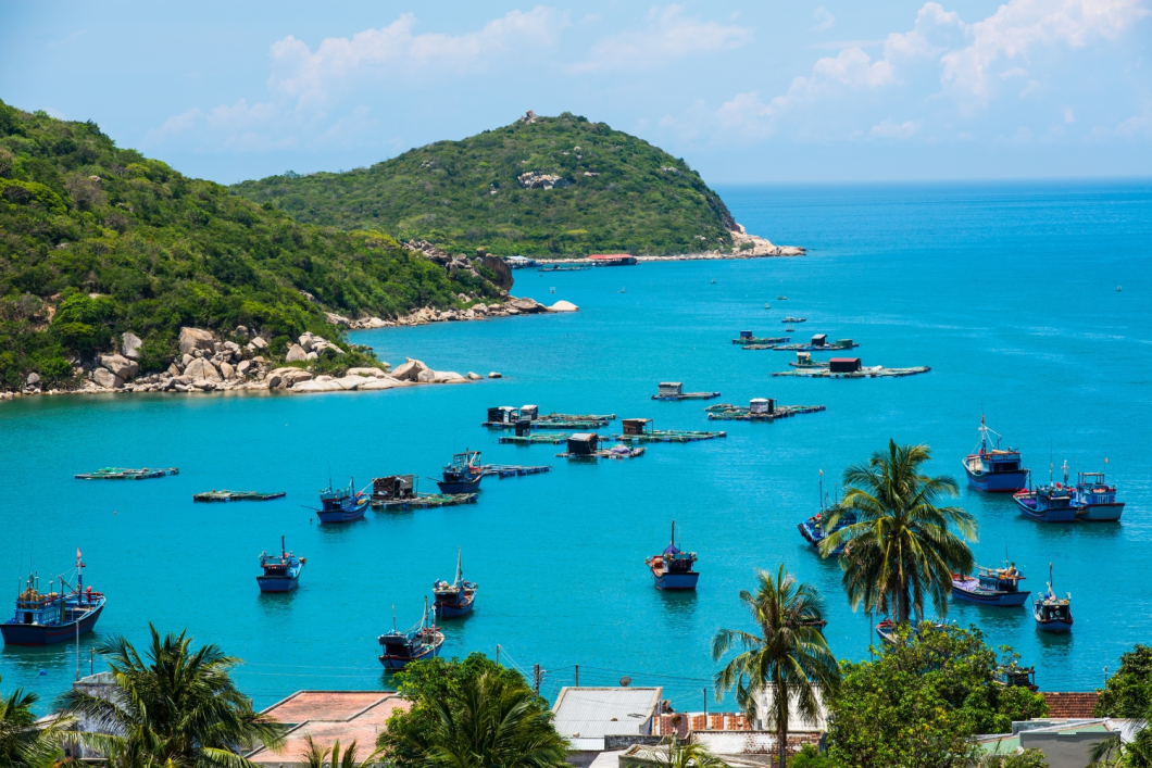 Du Lịch Vĩnh Hy - Ninh Chữ: Khu Du Lịch Trải Nghiệm Tanyoli - Vịnh Vĩnh Hy - Hang Rái - Trùng Sơn Cổ Tự - Tháp Chàm Po Klong Garai